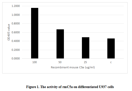 product-image-AAA161727_BIOACTIVITY13.jpg