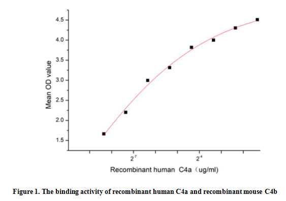 product-image-AAA161728_BIOACTIVITY13.jpg