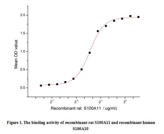 product-image-AAA161749_BIOACTIVITY13.jpg