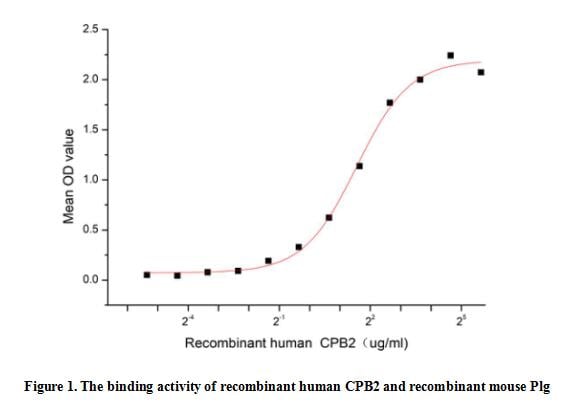 product-image-AAA161755_BIOACTIVITY13.jpg