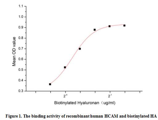 product-image-AAA161763_BIOACTIVITY13.jpg