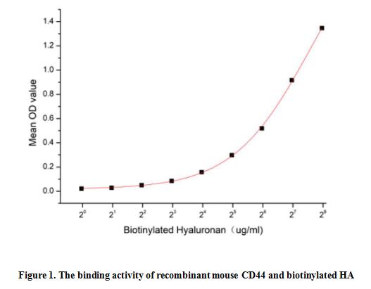 product-image-AAA161765_BIOACTIVITY13.jpg