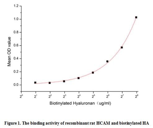 product-image-AAA161766_BIOACTIVITY13.jpg