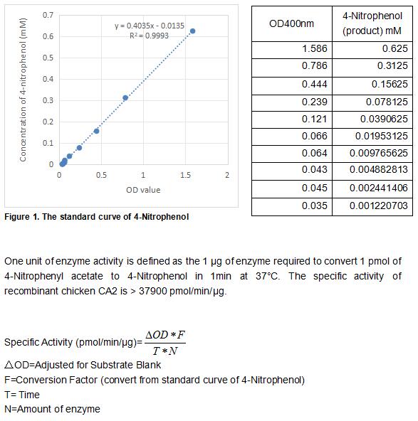 product-image-AAA161775_BIOACTIVITY13.jpg