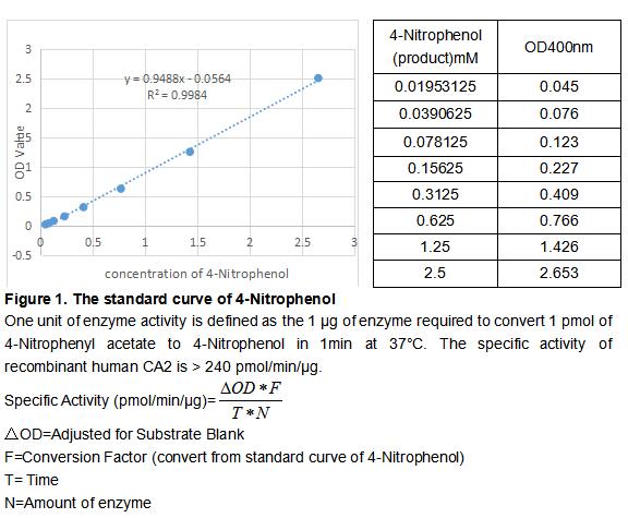 product-image-AAA161776_BIOACTIVITY13.jpg