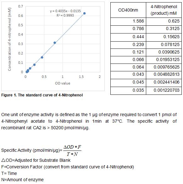 product-image-AAA161777_BIOACTIVITY13.jpg