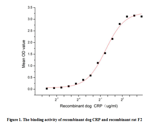 product-image-AAA161778_BIOACTIVITY13.jpg