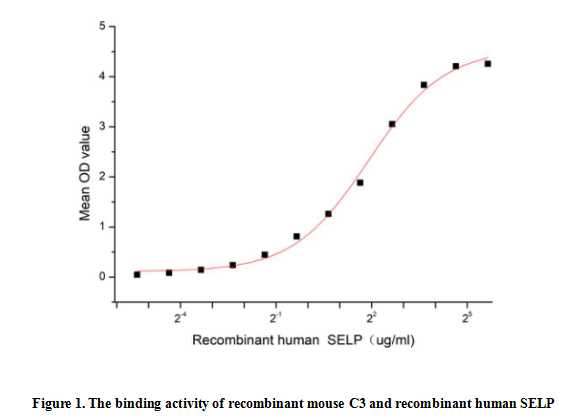 product-image-AAA161794_BIOACTIVITY13.jpg