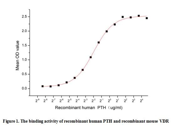 product-image-AAA161795_BIOACTIVITY13.jpg