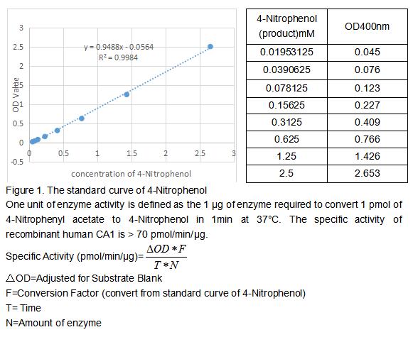 product-image-AAA161796_BIOACTIVITY13.jpg