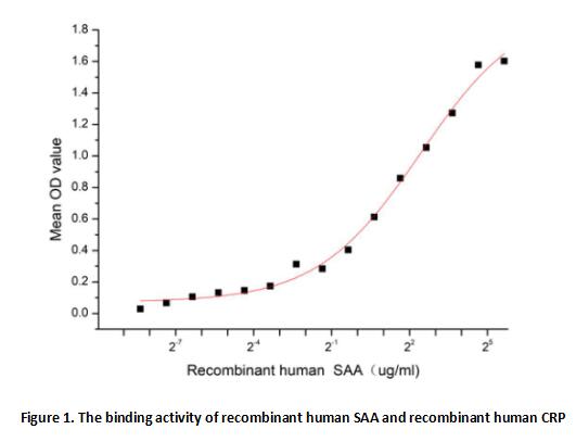 product-image-AAA161801_BIOACTIVITY13.jpg