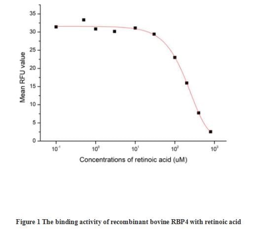 product-image-AAA161803_BIOACTIVITY13.jpg