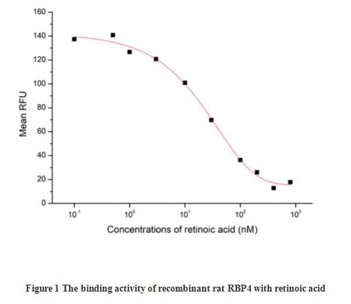 product-image-AAA161808_BIOACTIVITY13.jpg