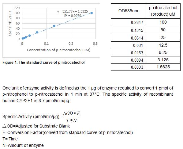 product-image-AAA161816_BIOACTIVITY13.jpg