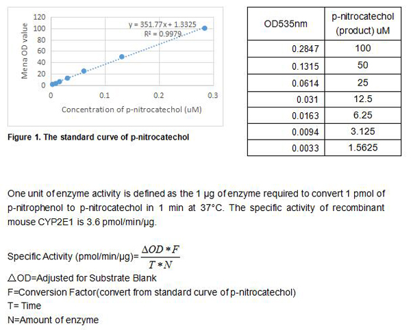 product-image-AAA161818_BIOACTIVITY13.jpg