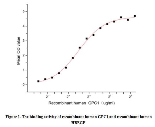product-image-AAA161824_BIOACTIVITY13.jpg