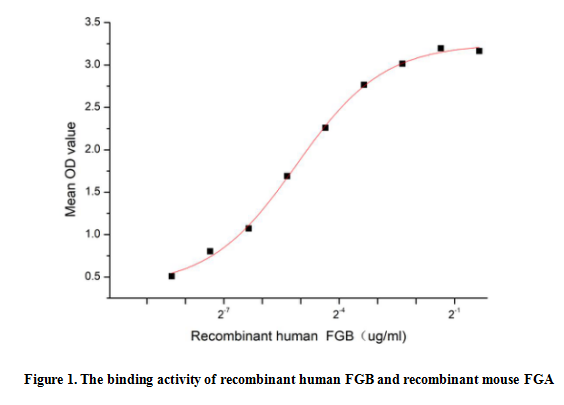 product-image-AAA161833_BIOACTIVITY13.jpg