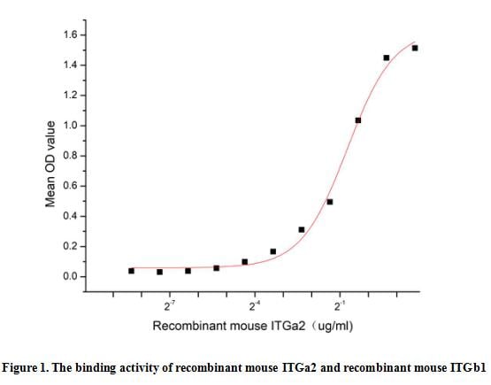 product-image-AAA161836_BIOACTIVITY13.jpg