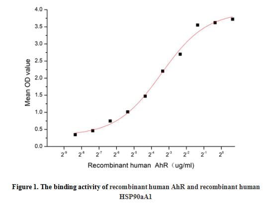 product-image-AAA161844_BIOACTIVITY13.jpg