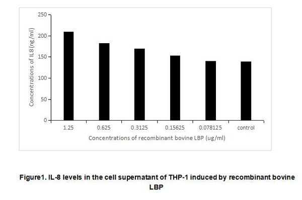 product-image-AAA161846_BIOACTIVITY13.jpg