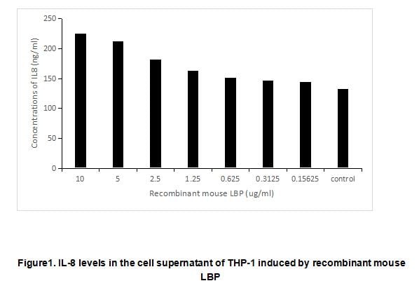 product-image-AAA161847_BIOACTIVITY13.jpg
