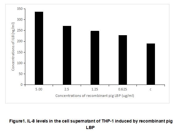 product-image-AAA161848_BIOACTIVITY13.jpg