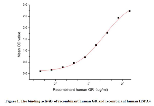 product-image-AAA161853_BIOACTIVITY13.jpg