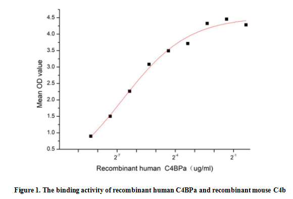 product-image-AAA161854_BIOACTIVITY13.jpg