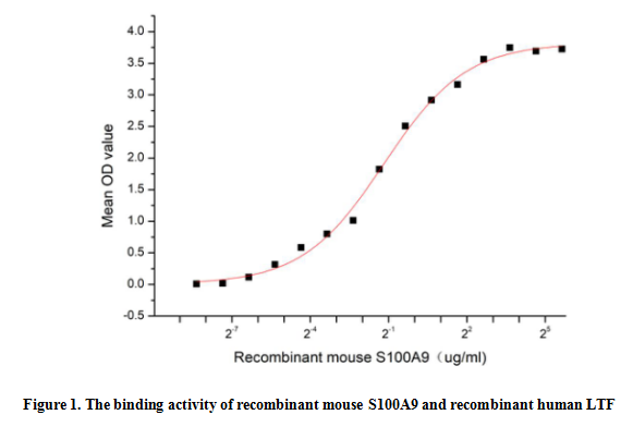 product-image-AAA161859_BIOACTIVITY13.jpg