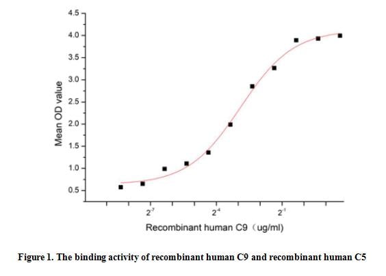 product-image-AAA161862_BIOACTIVITY13.jpg