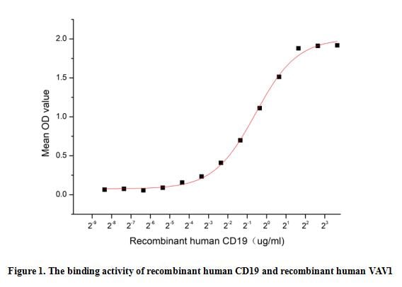 product-image-AAA161866_BIOACTIVITY13.jpg