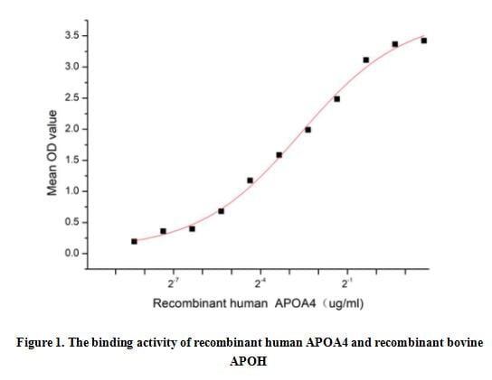 product-image-AAA161870_BIOACTIVITY13.jpg