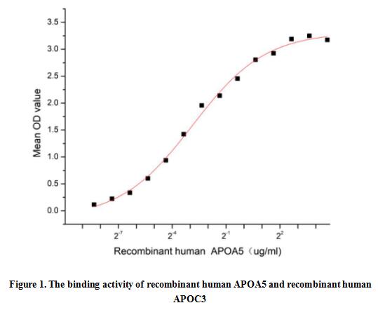 product-image-AAA161872_BIOACTIVITY13.jpg