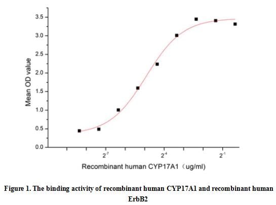 product-image-AAA161874_BIOACTIVITY13.jpg