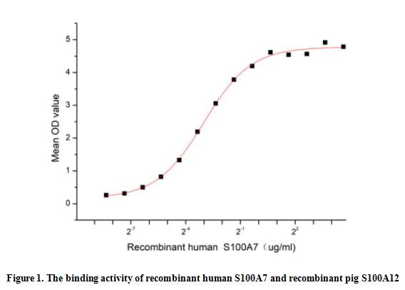product-image-AAA161876_BIOACTIVITY13.jpg