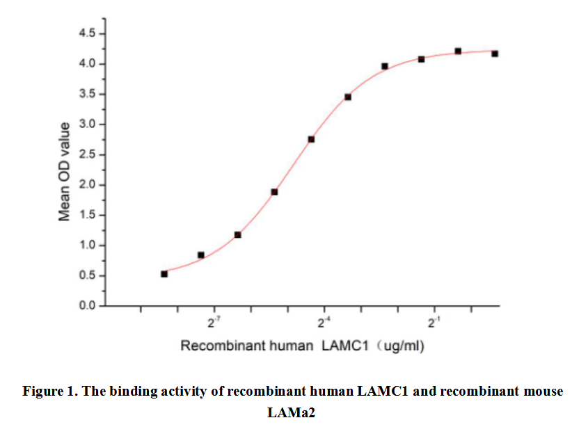 product-image-AAA161877_BIOACTIVITY13.jpg