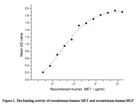 product-image-AAA161879_BIOACTIVITY13.jpg