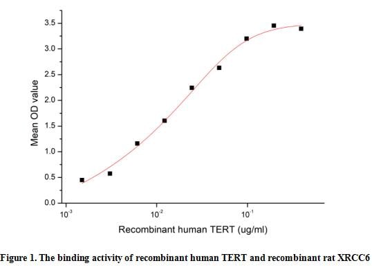 product-image-AAA161880_BIOACTIVITY13.jpg