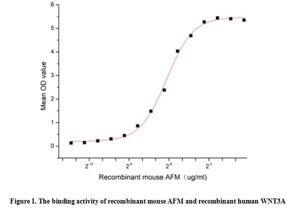 product-image-AAA161881_BIOACTIVITY13.jpg