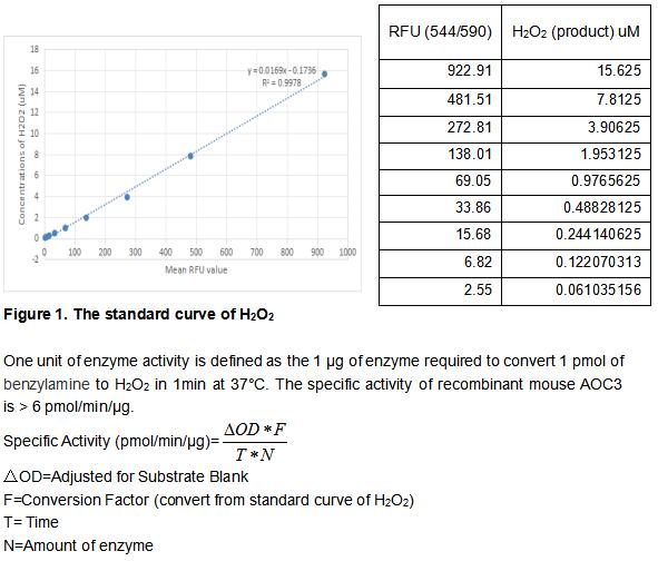 product-image-AAA161883_BIOACTIVITY13.jpg