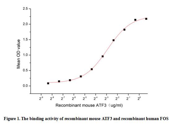 product-image-AAA161885_BIOACTIVITY13.jpg