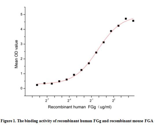 product-image-AAA161889_BIOACTIVITY13.jpg