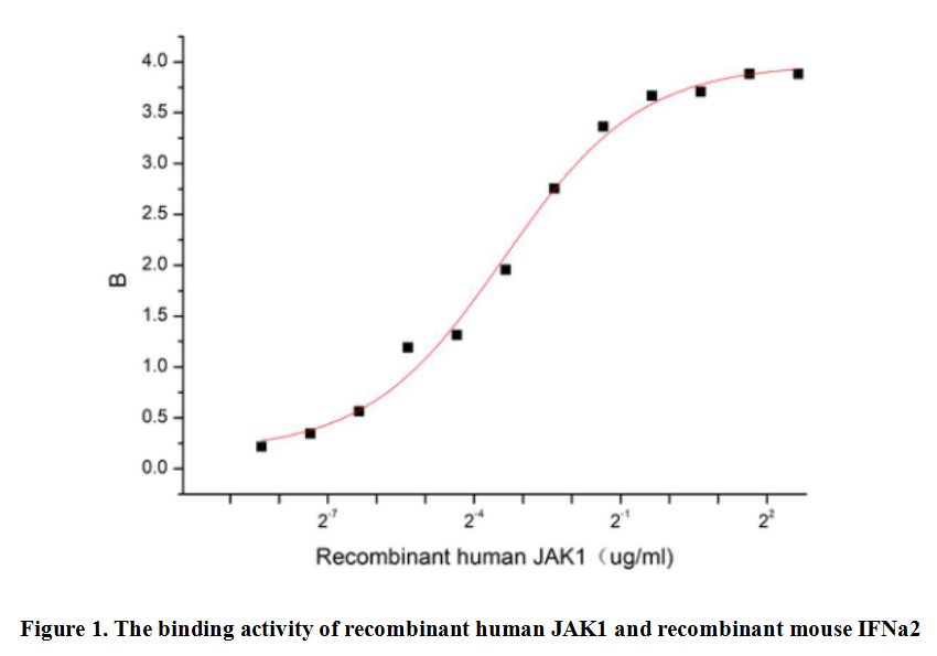product-image-AAA161890_BIOACTIVITY13.jpg
