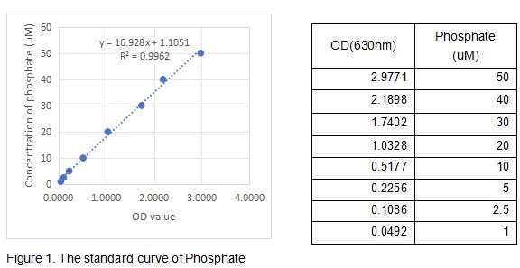 product-image-AAA161891_BIOACTIVITY13.jpg