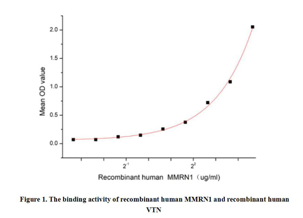 product-image-AAA161892_BIOACTIVITY13.jpg