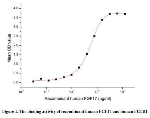 product-image-AAA161896_BIOACTIVITY13.jpg
