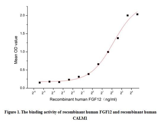 product-image-AAA161897_BIOACTIVITY13.jpg