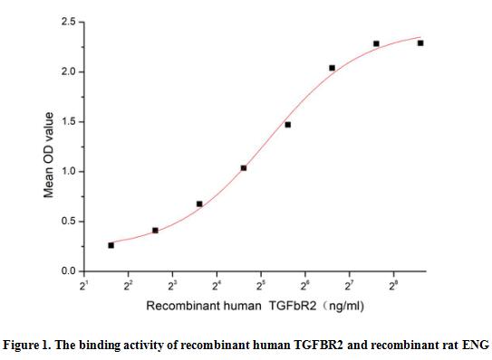product-image-AAA161898_BIOACTIVITY13.jpg