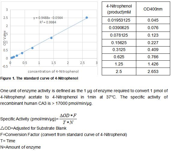 product-image-AAA161899_BIOACTIVITY13.jpg