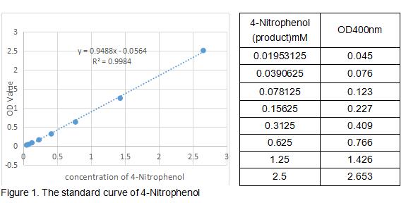 product-image-AAA161900_BIOACTIVITY13.jpg